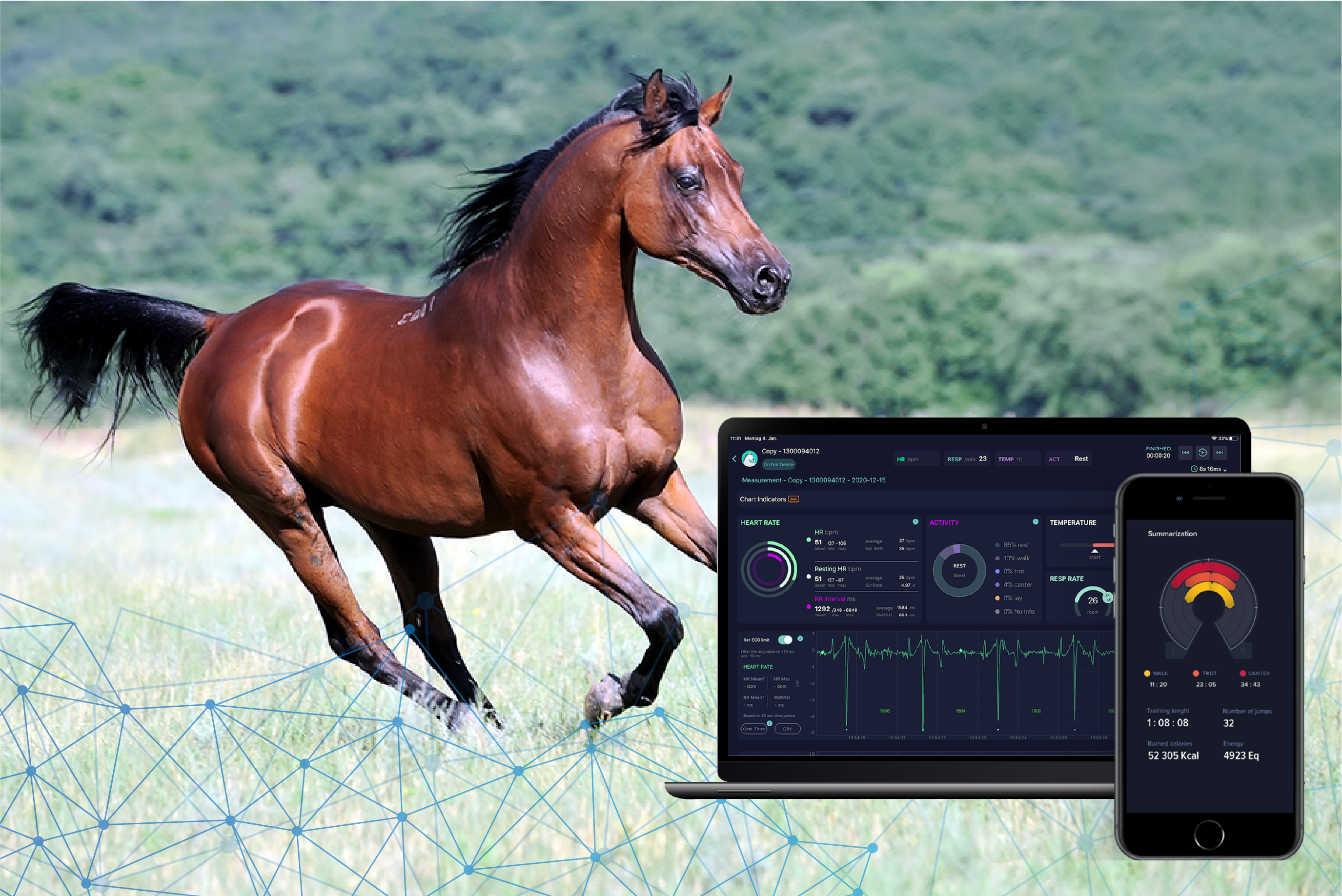 Tracking & Monitoring System for Horses & Camels